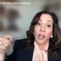 Kamala's authoritarian 'brainstorm' is destroying all those norms