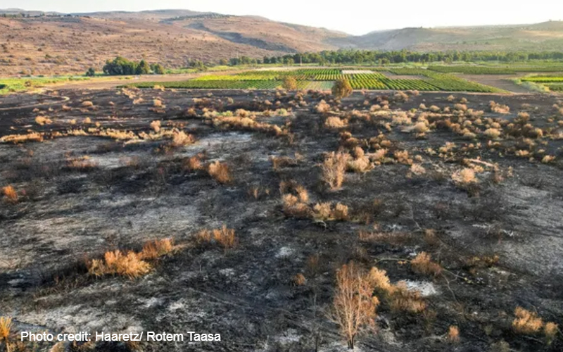 Archaeologists uncover biblical village near Galilee after wildfire