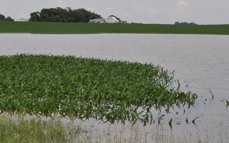 Rain in the South is hurting crop production and farmer's pockets