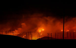 Kanclerz: Fuel moisture is important in terms of burning for wildfires