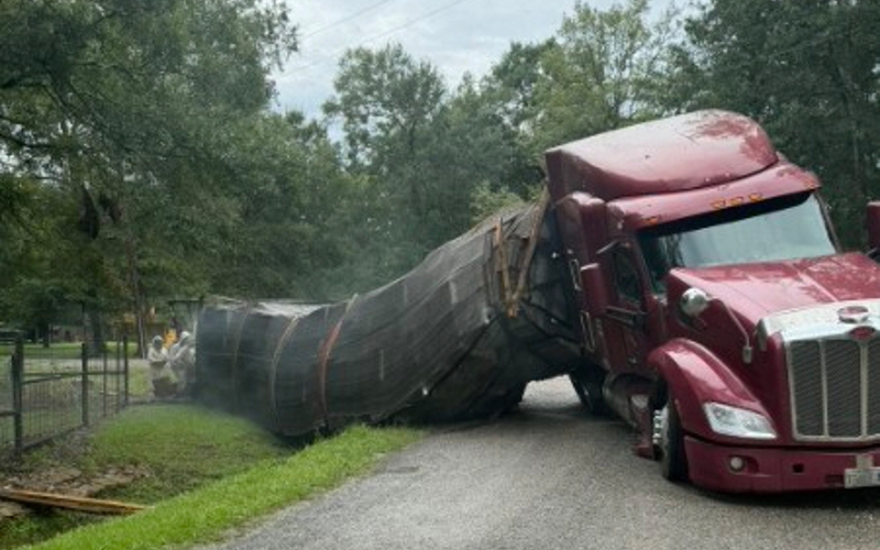 Millions of honeybees escape into a rural Texas neighborhood after a semitrailer crash