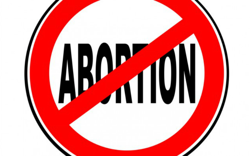 Not just a party platform Abortion bus made for deadly DNC in Chicago