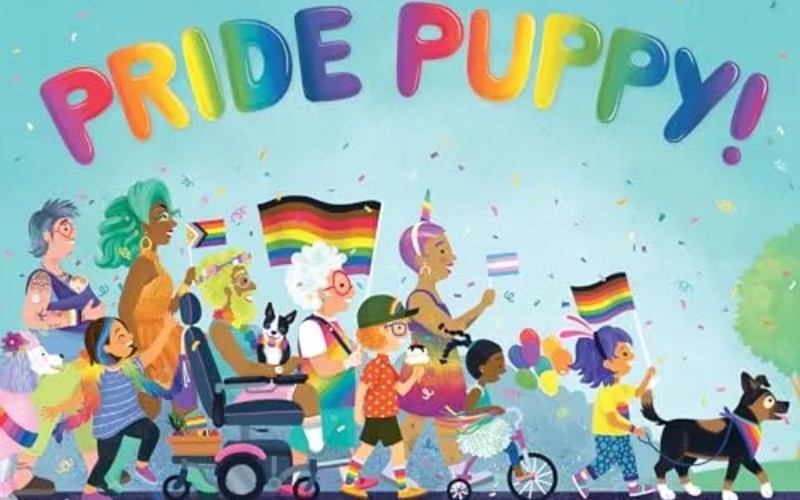 Dog toy company loses subscriptions over LGBTQ controversy