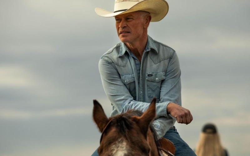 Taking Hollywood by the horns