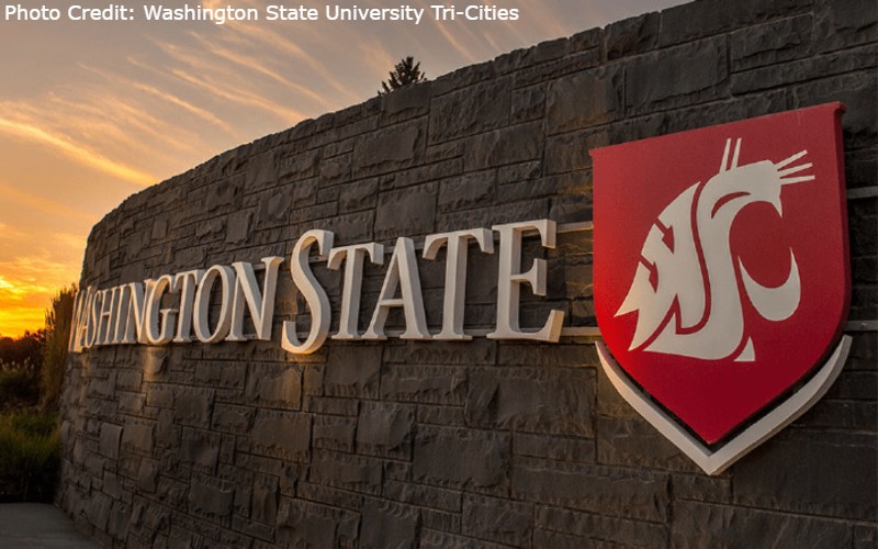 Medical course under inquiry for challenging youth gender treatment