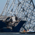 Maryland settles with owner and operator of ship that crashed into bridge
