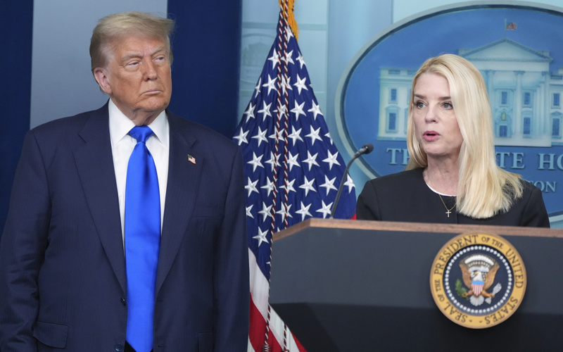 Ellis: Dems can thank Team Trump for bungling Epstein file PR