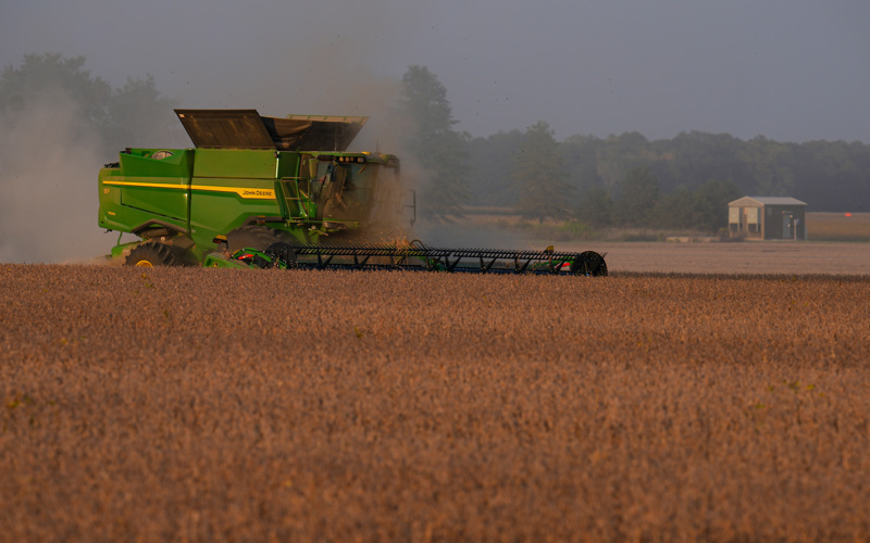 China balking at U.S. soybeans puts hurt on American farmers