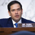 Rubio calls for global effort to deal with left-wing political violence 