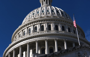 Congress' worst-ever immigration record raises security concerns
