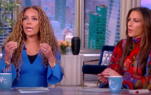 Constitutional attorney: Try to look past ranting libs on 'The View' and question power of FCC