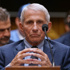 Fauci's decision to invoke the Fifth Amendment tees up possible contempt vote