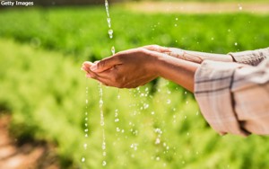 Water and biblical stewardship combine in new online lessons