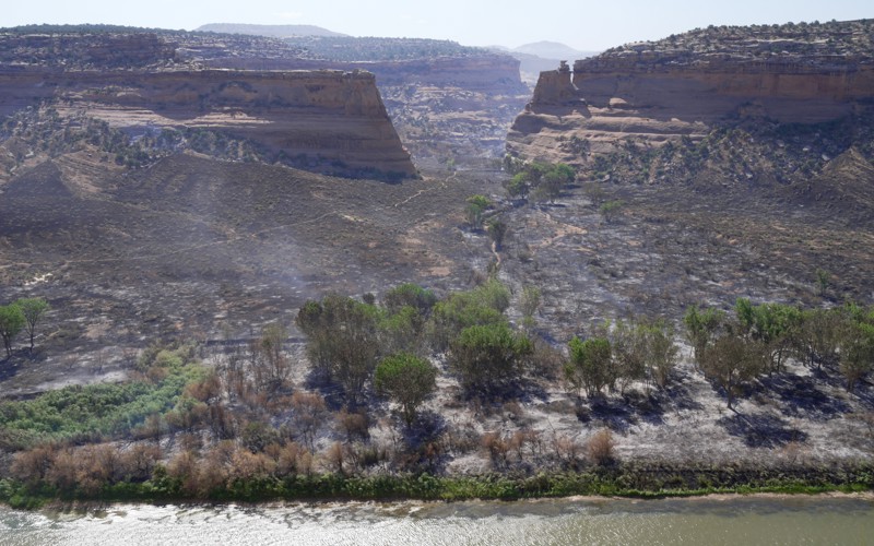 Wildfire southwest of Denver forces thousands to evacuate