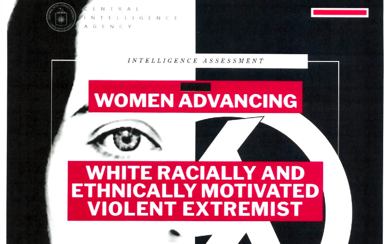 CIA concern over stay-at-home moms might outdo DOJ pursuit of parents