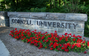 Ivy League school investigates student's antisemitic response to internship offer