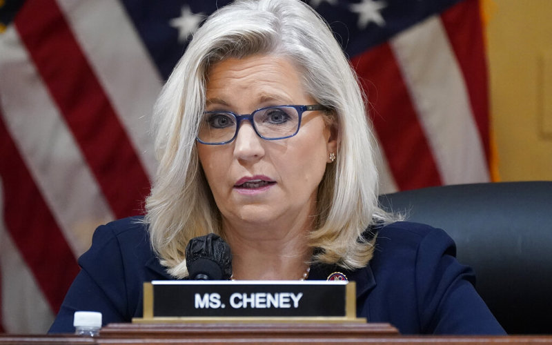 Cheney spoiling for fight but poll calls her potential spoiler